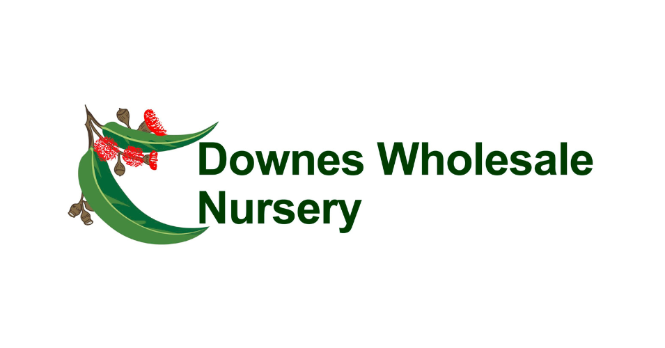 Downes Wholesale Nursery Logo